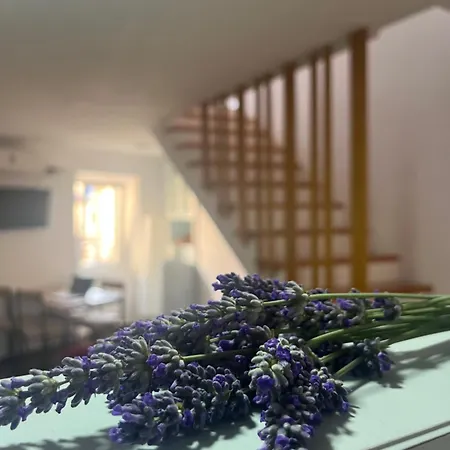 Apartment House Analisa