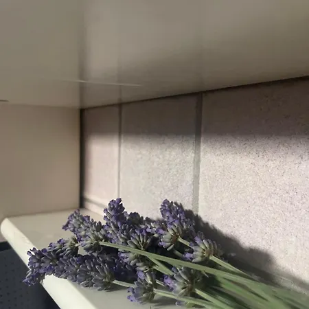 Apartment House Analisa *