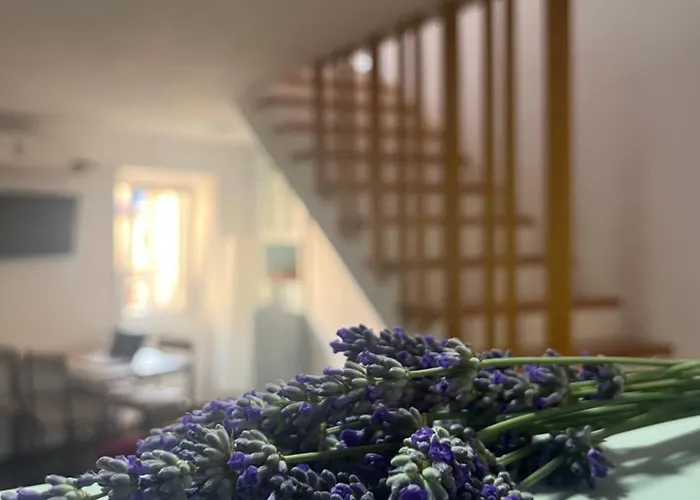 Appartement House Analisa